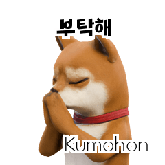 Shiba Inu ID KR 2