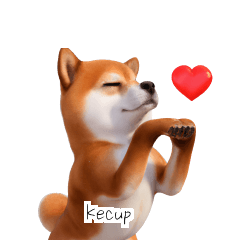 Shiba Inu ID KR C