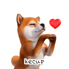 Shiba Inu ID KR F