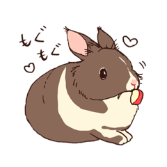 RURU_20221105181424