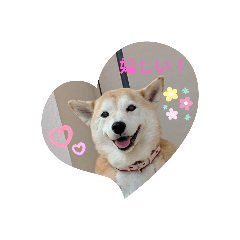 meichan kawaii stamp