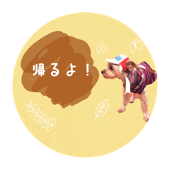 yn_20221105233033