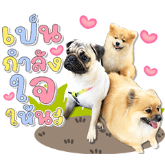 P'Heng N'Tang & Bambara