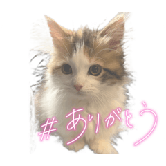 yuka_20221106104406