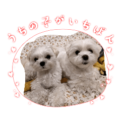 yukari_20221106121504