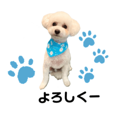 smile_20221106122404