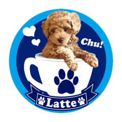 Latte_20221106140744