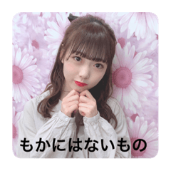 Kaede_20221106080826