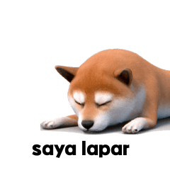 ID Shiba Inu 40p