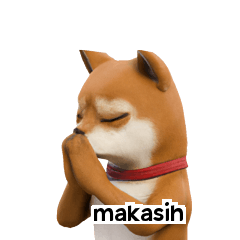 [40p] Anjing Shiba Inu