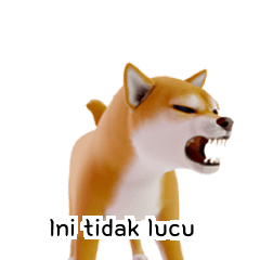 Anjing Shiba [40p]