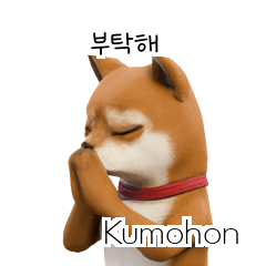 50% Shiba Inu ID KR 40P