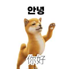 40P | Shiba Inu TW CN KR