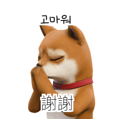 Shiba Inu TW KR A