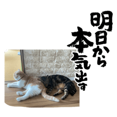 megumi_20221106040752