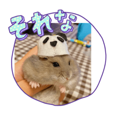 YUTO_20221106172845