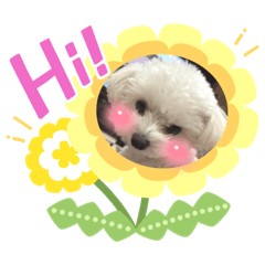 yuka_20221106182035