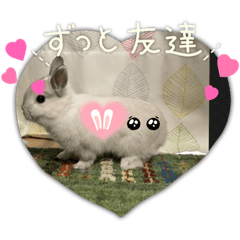Shin_20221107064606