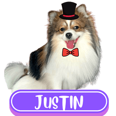 Woofme with Justin