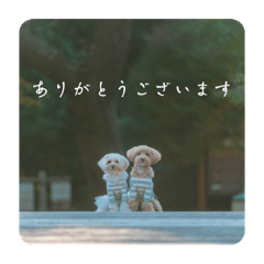 ak_20221107002100