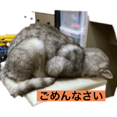 YUKA_20221106203741