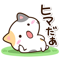 Small Cute Calico cat 58