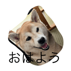 sakuramaru_20221106195634