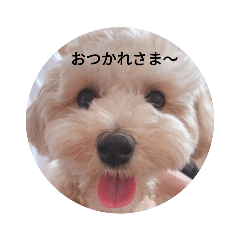 testes_20221106210131