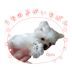 yuka_20221106224332