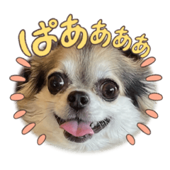 peco_20221107113001