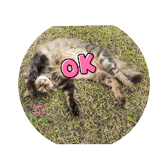 Emily_20221107113338