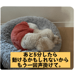 nob_20221107121406