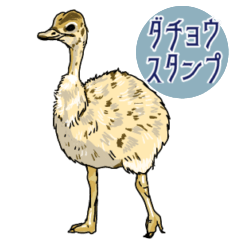 Ostrich and ostrich baby