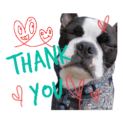 boss.k_20221107132857