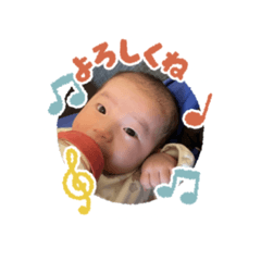 tanuki_20221107131720