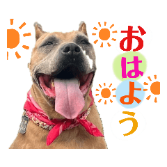 Honey_20221107142019