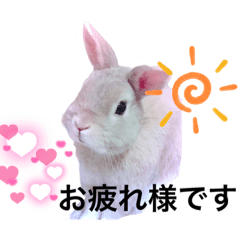 Rinrin_20221107162821