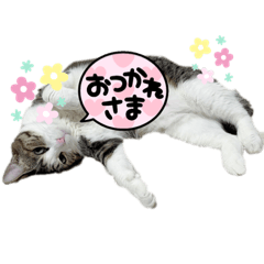 CREAM_20221107163901