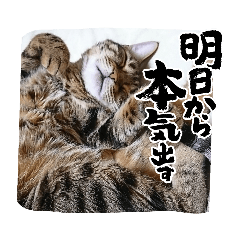 yuka_20221108083427