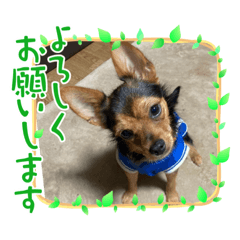 Yukari_20221108103743