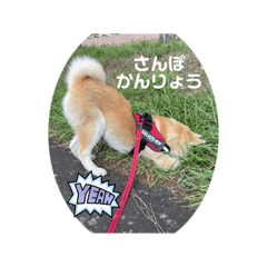 natsumi_20221107174809