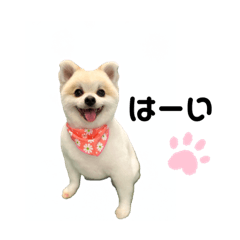 smile_20221108093753