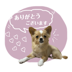 aoi_20221108133957