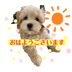 yuka_20221108142655