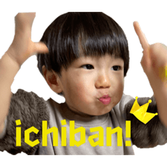 misokarinu_20221108110224
