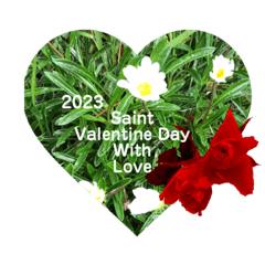 MiChiko_20221108125714