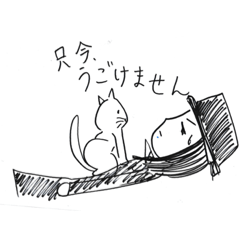 shiho_20221106165641