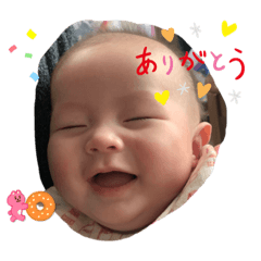 Hikari_20221109092654