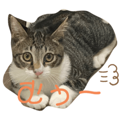 Mikan-mam_20221108163606