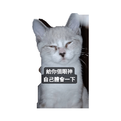 給你跟眼神自己體會